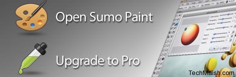 Sumo Paint