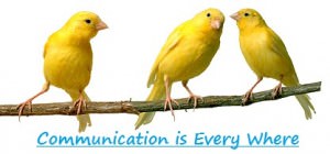 blogging communication tools