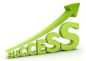 successful online business