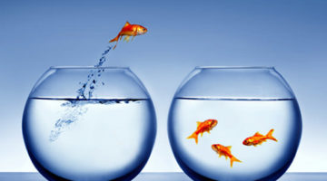 When Blogging, It’s Best to be a Big Fish in a Small Pond