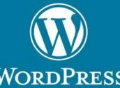 8 Reasons to Use WordPress for Your Website