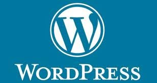 WordPress for Your Website 