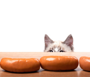 trick to post comments