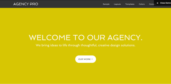 Agency Pro