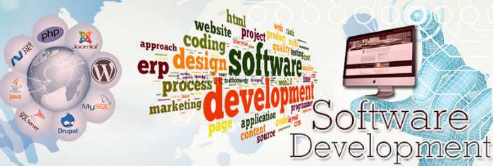 Software Development Firm