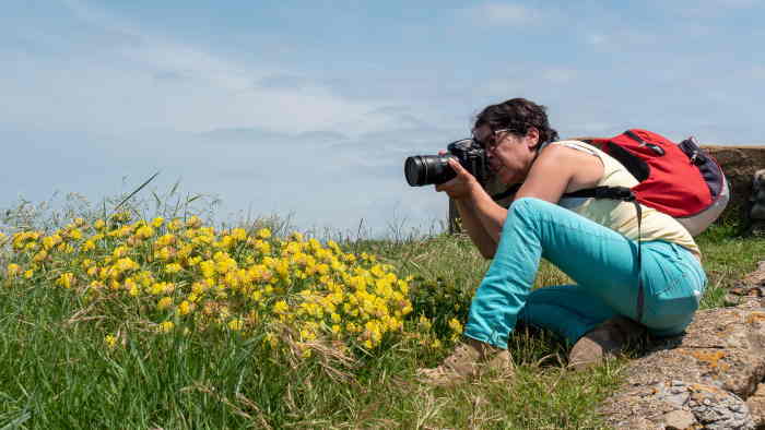 a female photographer taking a photograph, outdoors