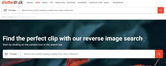 Reverse Video Search Shutterstock