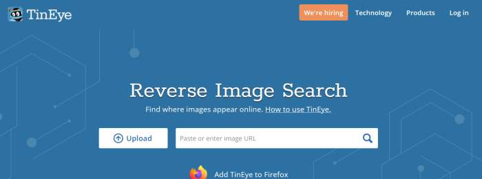 Reverse Video Search Tineye