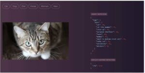 Filestack Image Intelligence