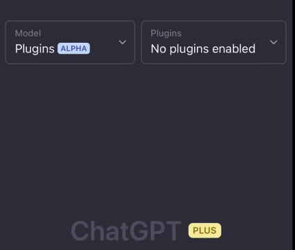ChatGPT Plugins Access