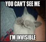 You Can't See Me; I'm an Invisible Cat