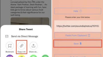 How to Download Twitter Videos on iPhone